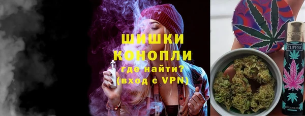 индика Белоозёрский