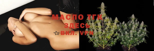 индика Белоозёрский