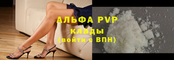 индика Белоозёрский