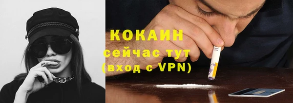 индика Белоозёрский