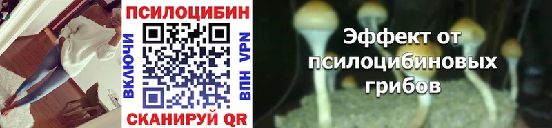 Галлюциногенные грибы Cubensis Мариинский Посад